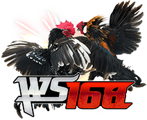 WS168